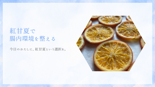紅甘夏で腸内環境を整える