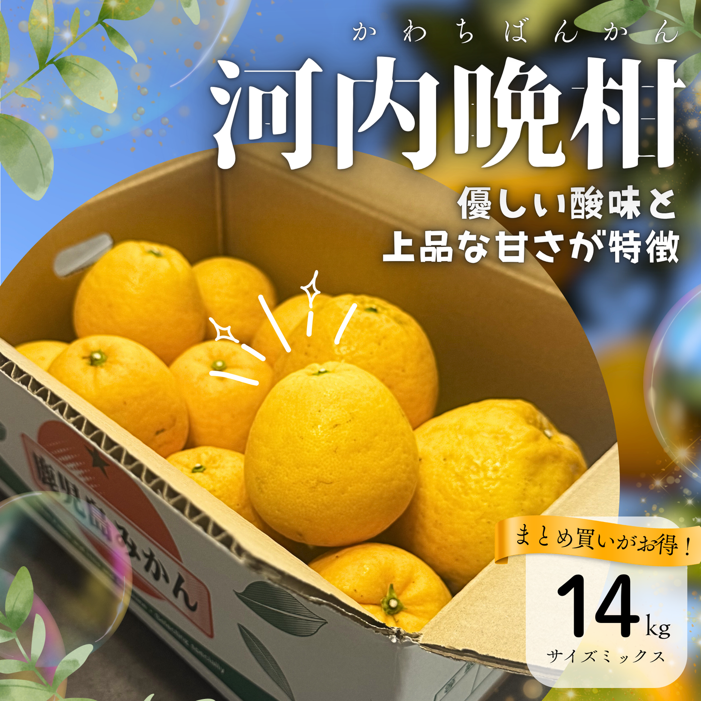 河内晩柑 ‐かわちばんかん‐