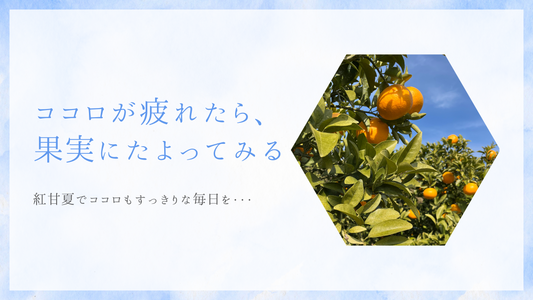 ココロが疲れたら果実にたよってみる