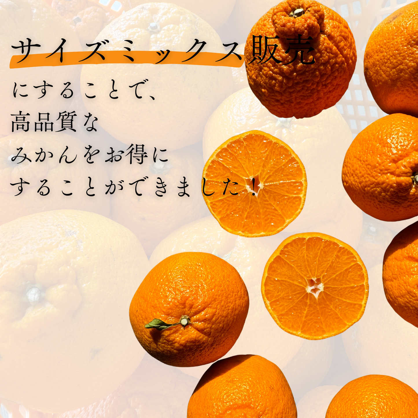 不知火-しらぬい‐（デコポン）