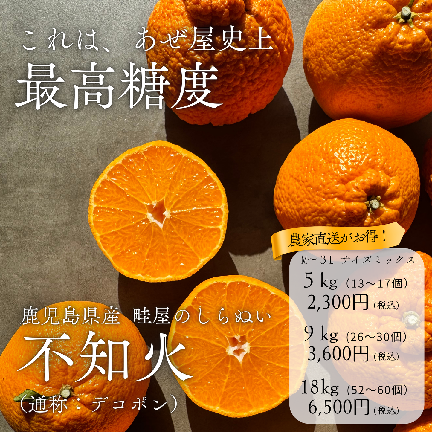 不知火-しらぬい‐（デコポン）