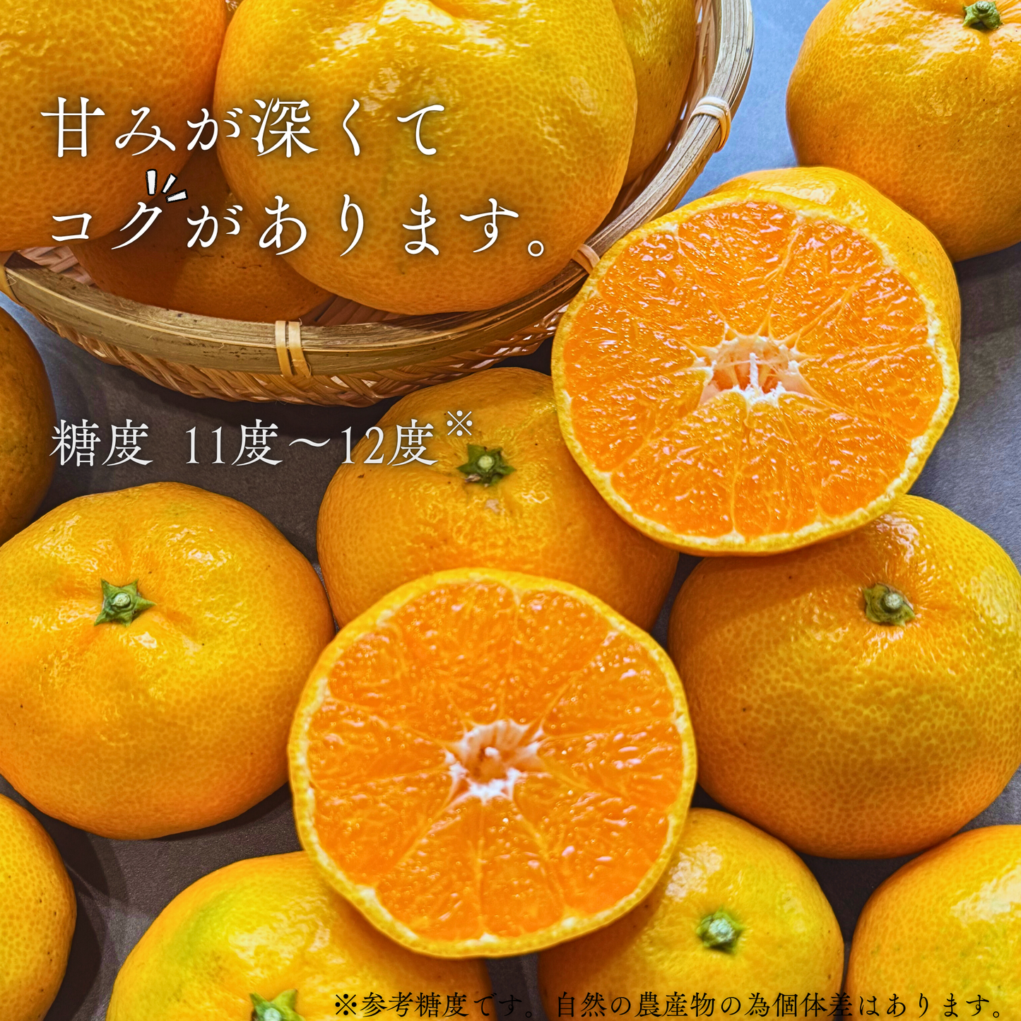 温州みかん【11月上旬～】