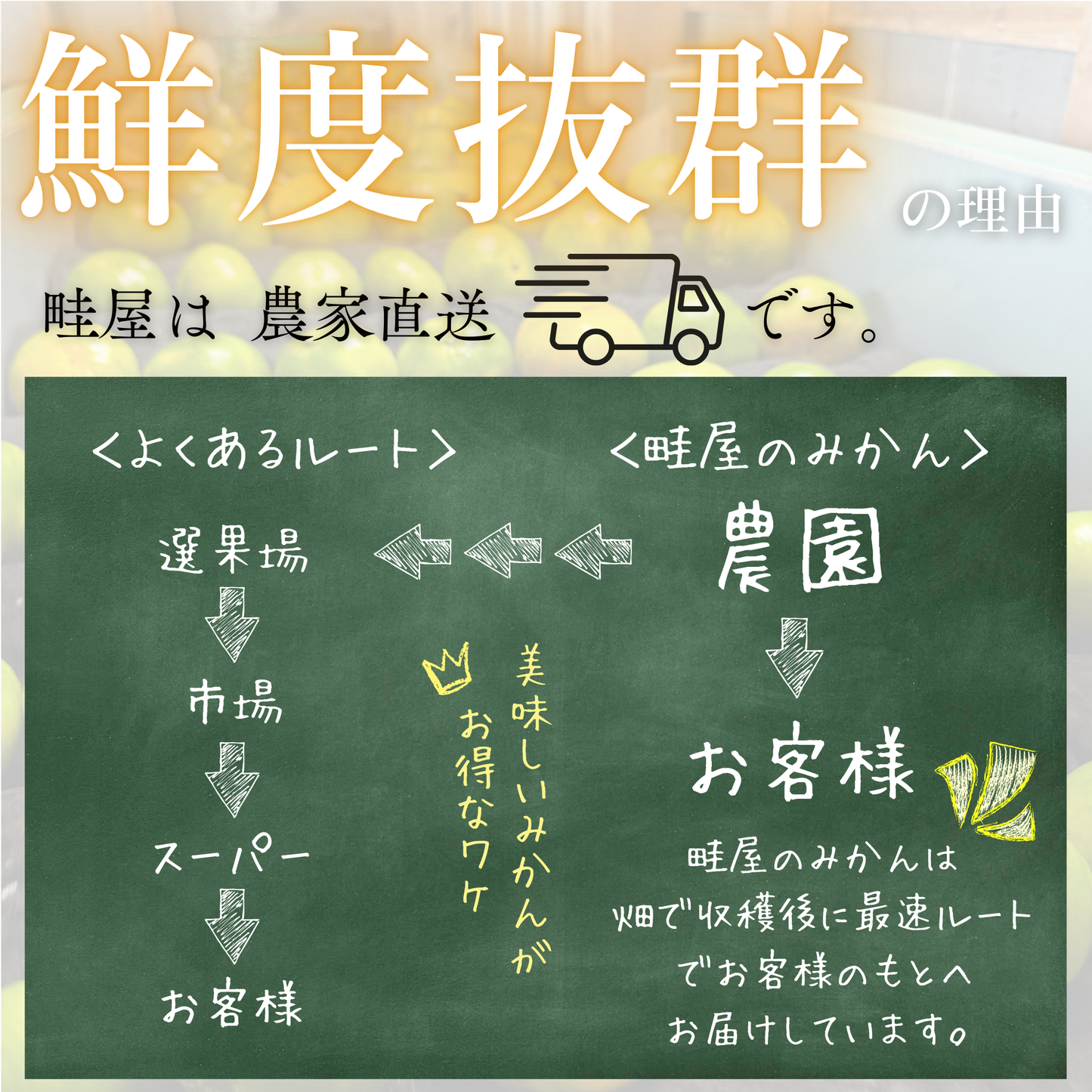 不知火-しらぬい‐（デコポン）