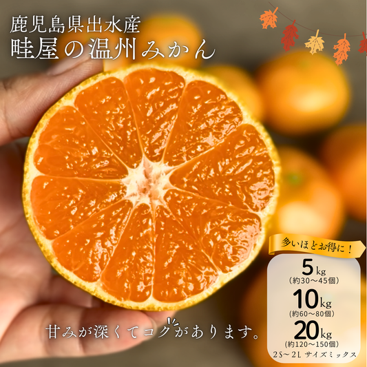 温州みかん【11月上旬～】