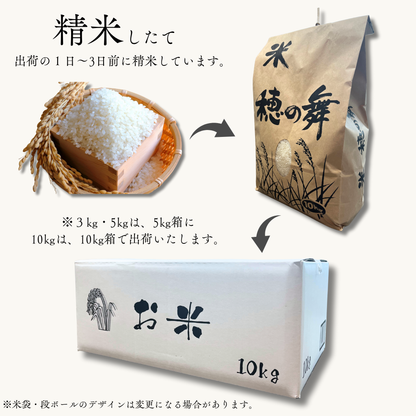 【新米】【農家直送】鹿児島産「あきほなみ」 10kg