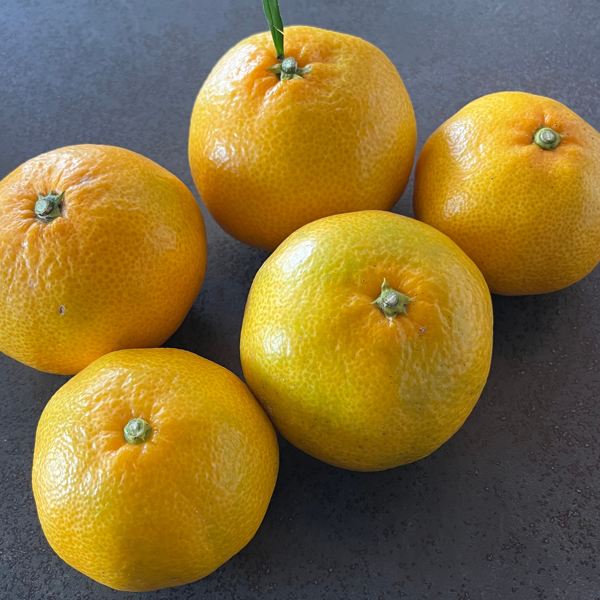 みかんさん専用 中生みかん 5.5kg｜クエン酸たっぷりで健康・美容サポート