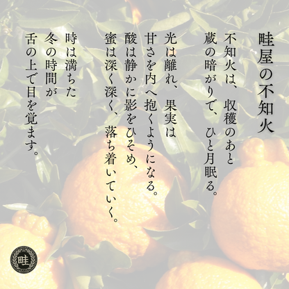 不知火-しらぬい‐（デコポン）