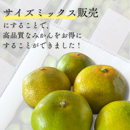 温州みかん【11月上旬～】