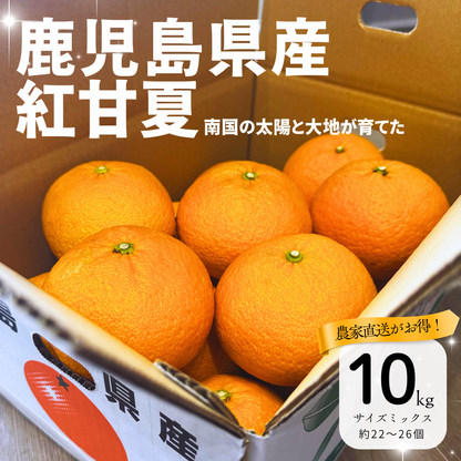 畦屋の紅甘夏