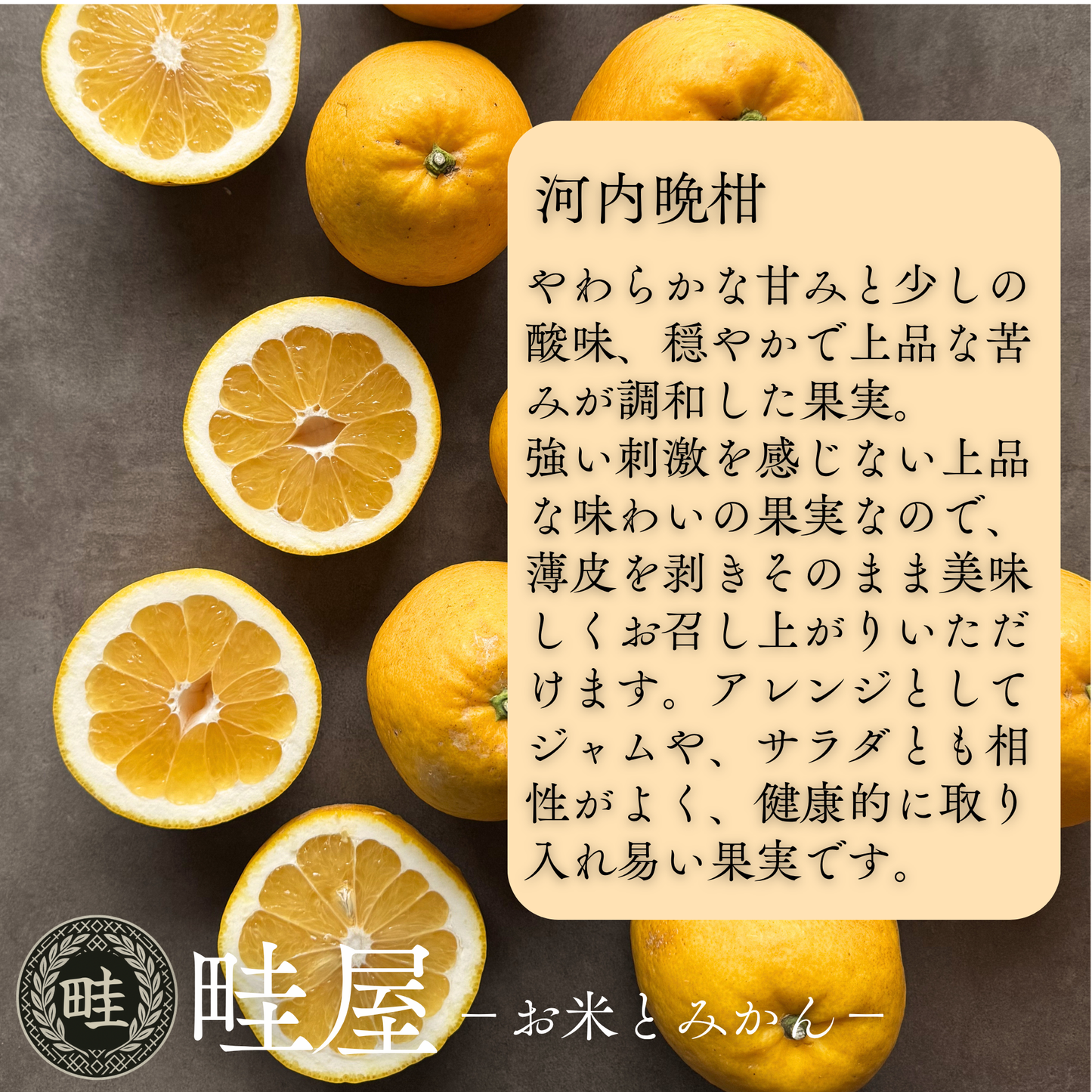 河内晩柑  ‐かわちばんかん‐