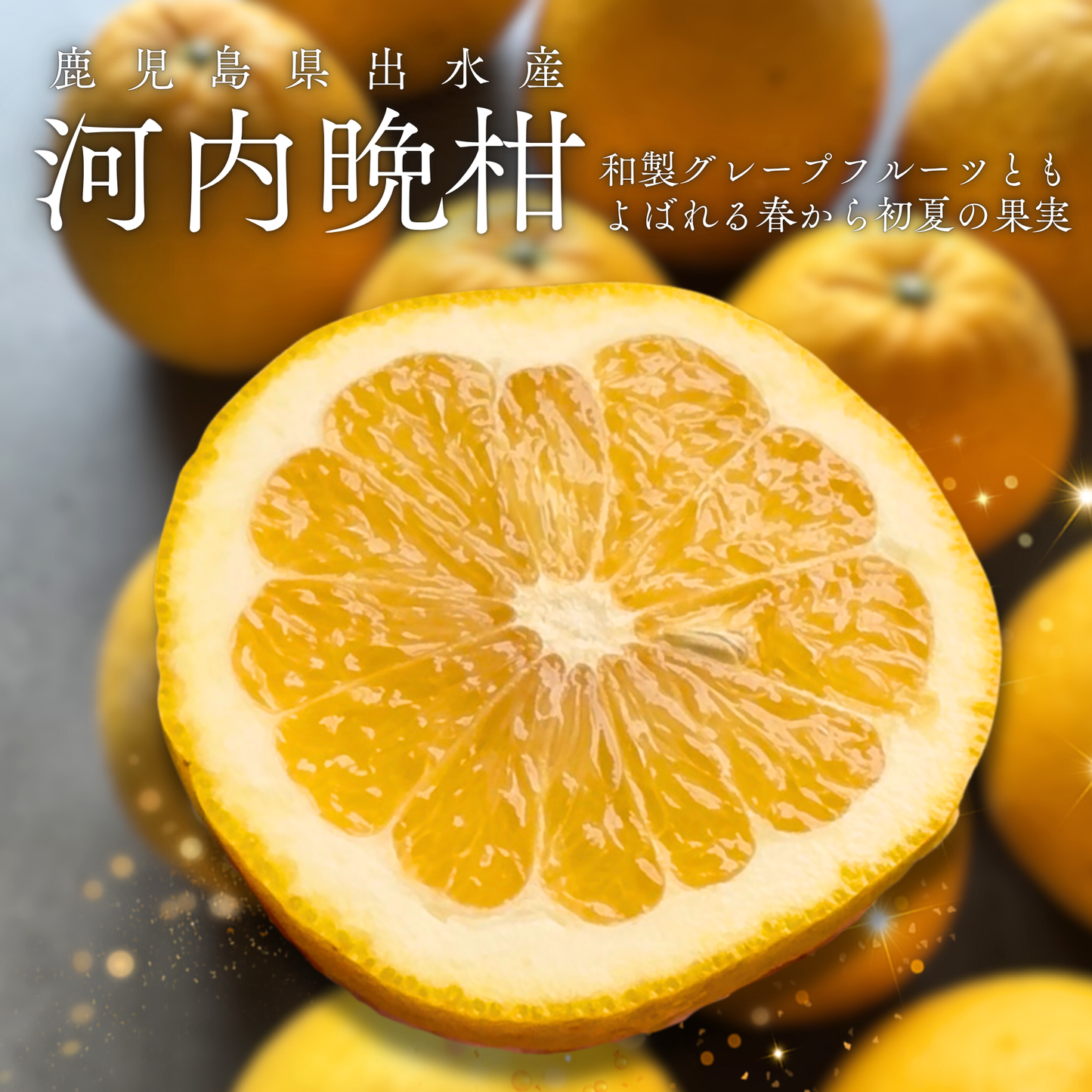 河内晩柑  ‐かわちばんかん‐