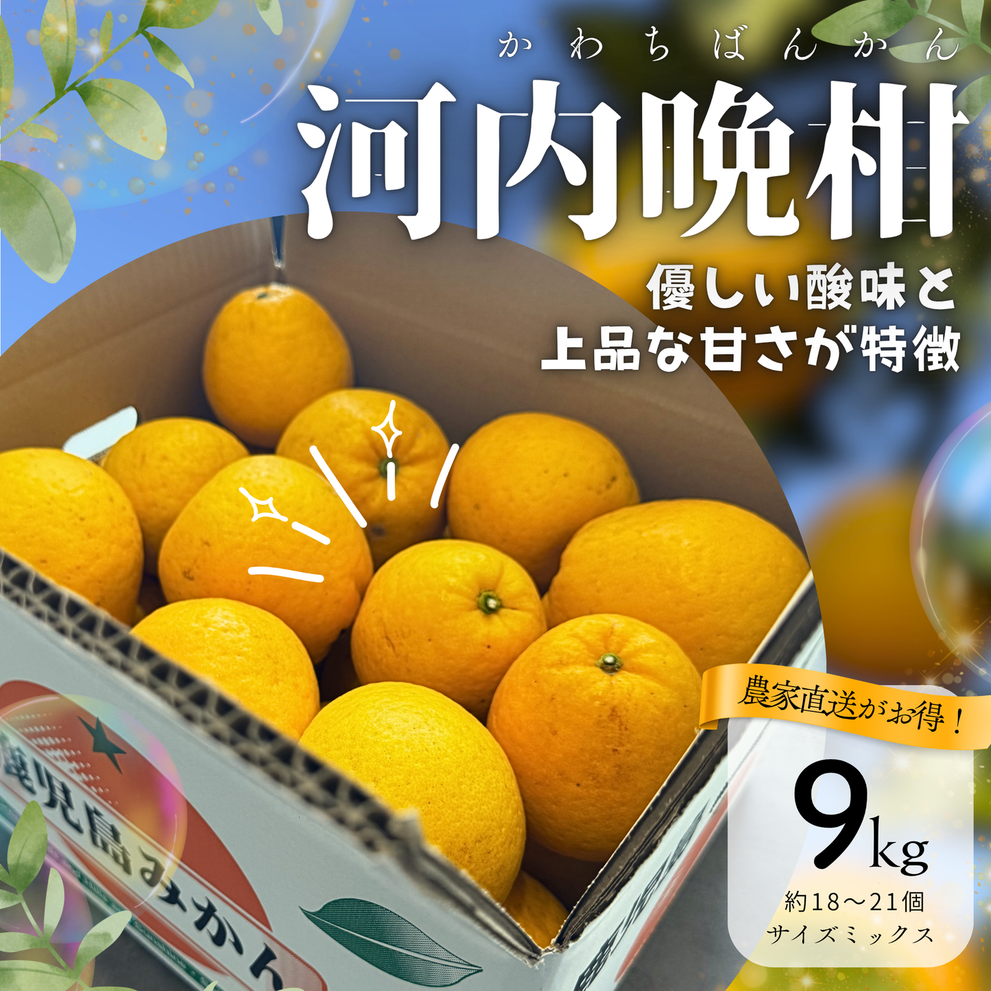 河内晩柑  ‐かわちばんかん‐