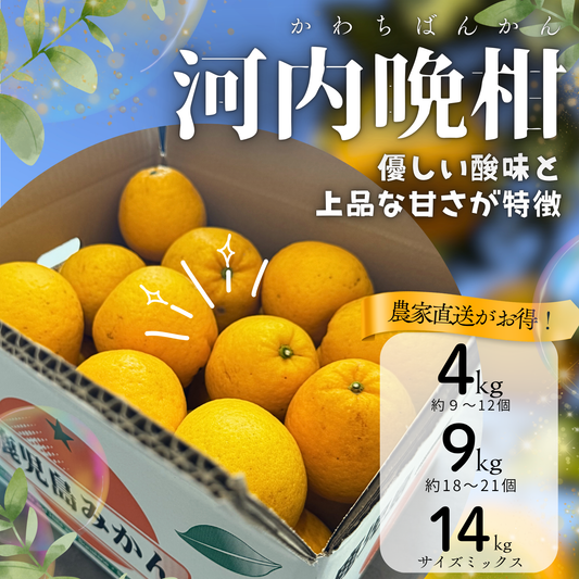 河内晩柑  ‐かわちばんかん‐